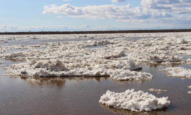 Стали известны сроки начала ледохода на реке Северная Двина.
