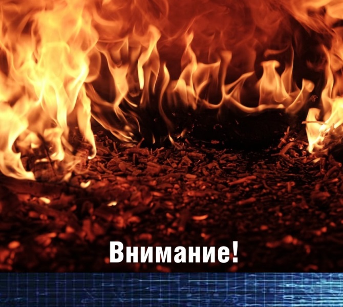 На территории Архангельской области установлен особый противопожарный режим в лесах.