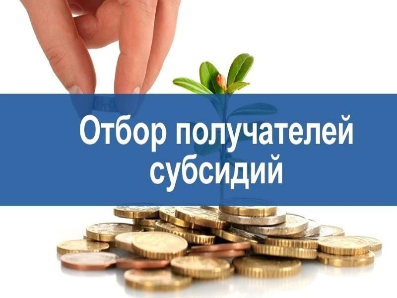 Отборы на получение господдержки в сфере сельского хозяйства.