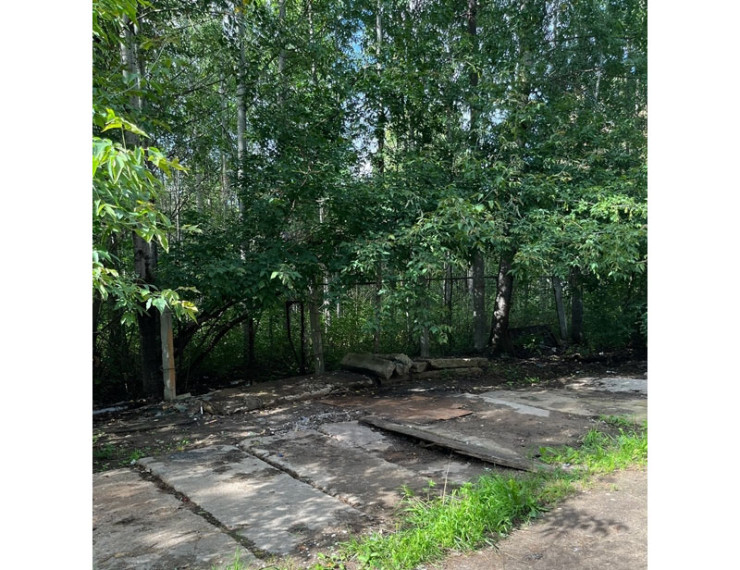 Городской депутат, Владимир Августович Суханов, поделился отличной новостью !.